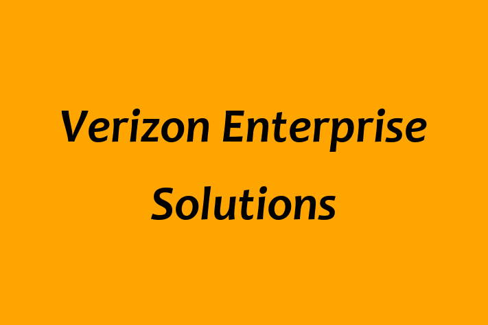 Technology Solutions Firm Verizon Enterprise Solutions