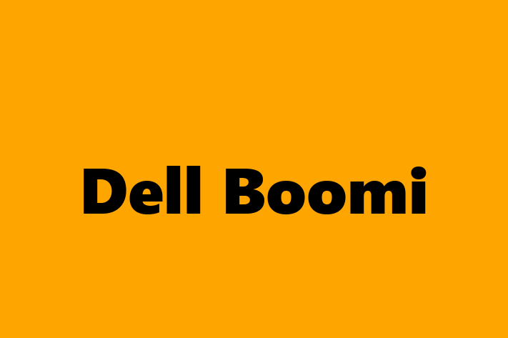 Technology Company Dell Boomi