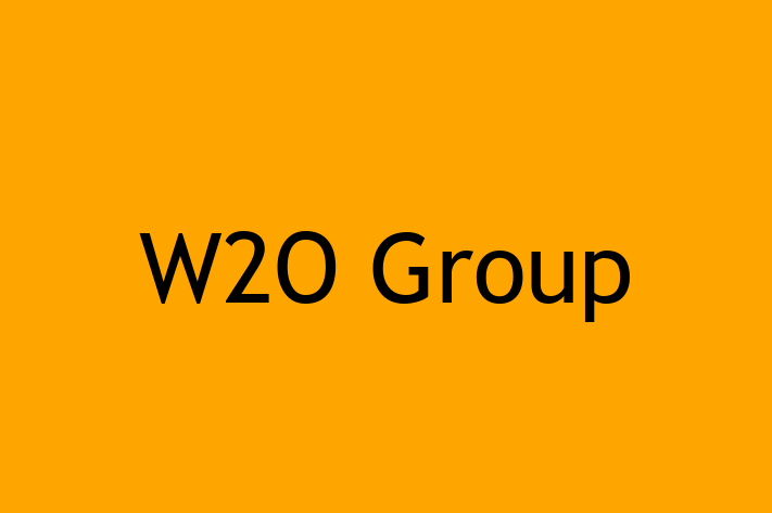 Technology Solutions Firm W2O Group