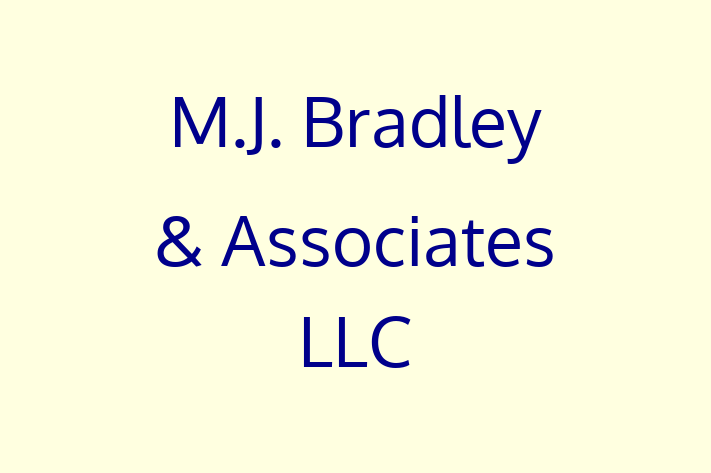 Software Solutions Provider M.J. Bradley  Associates LLC