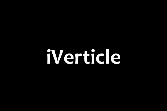 Software Services Company iVerticle