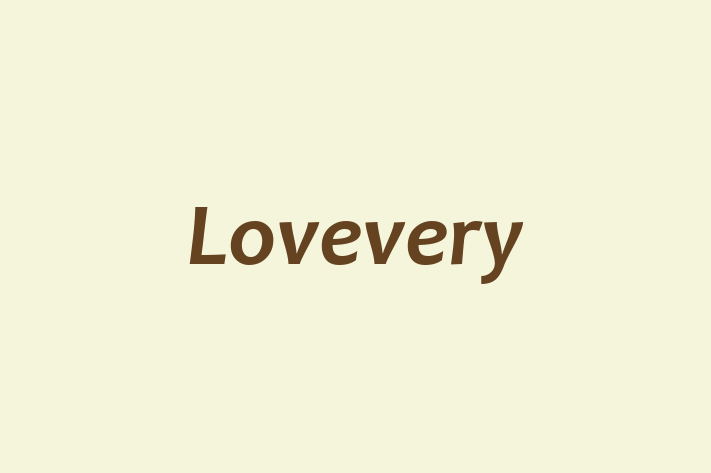 Employee Resource Management Lovevery