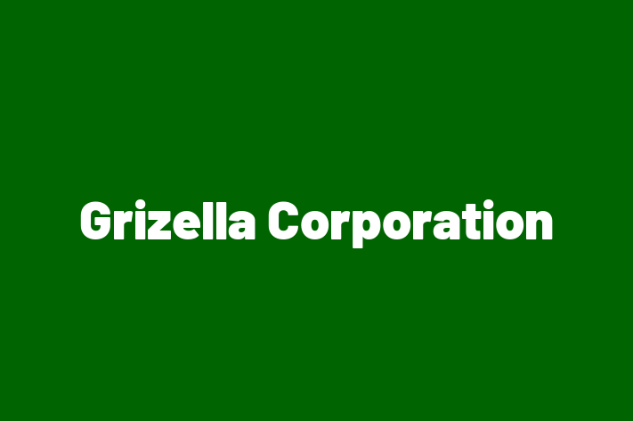 Application Development Company Grizella Corporation