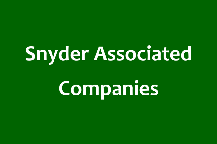 People Management Snyder Associated Companies