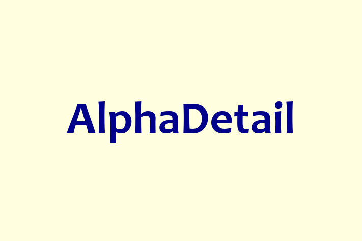 Software Engineering Company AlphaDetail