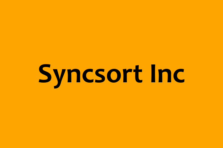 Software Services Company Syncsort Inc