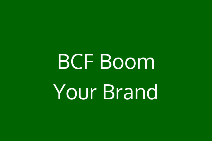 Digital Solutions Provider BCF  Boom Your Brand