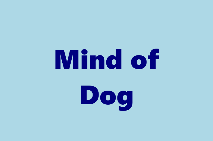 Staff Management Mind of Dog