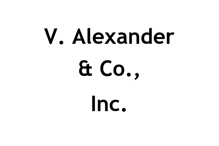 Software Development Firm V. Alexander Co. Inc.