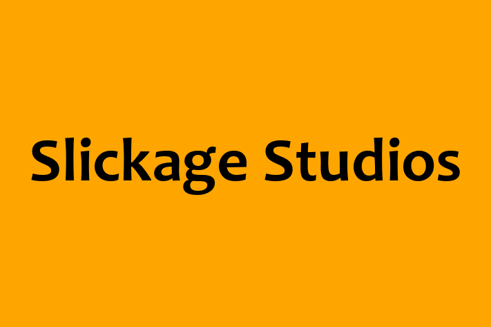 Technology Company Slickage Studios