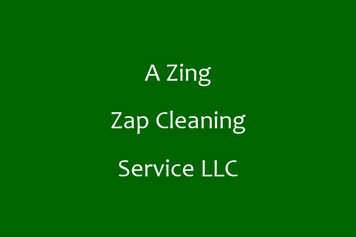 Home Cleaning A Zing Zap Cleaning Service LLC