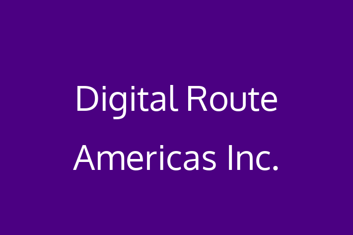 Tech Solutions Company Digital Route Americas Inc.