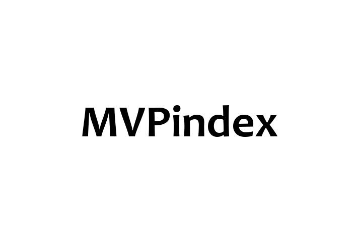 Software Development Firm MVPindex