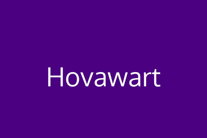 Hovawart Dog for Sale in Ontario