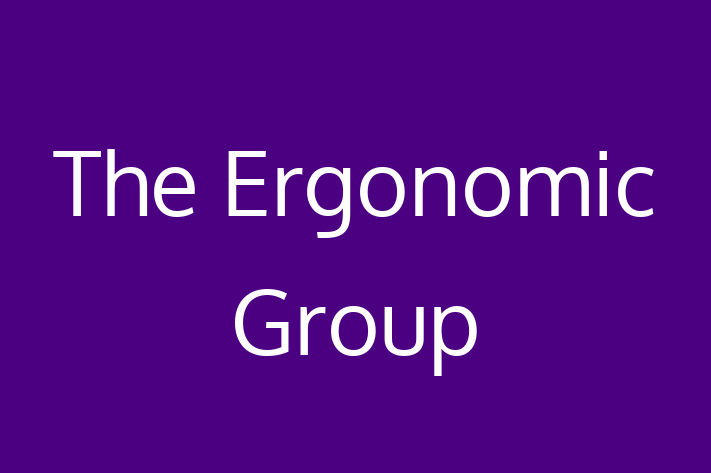 IT Company The Ergonomic Group