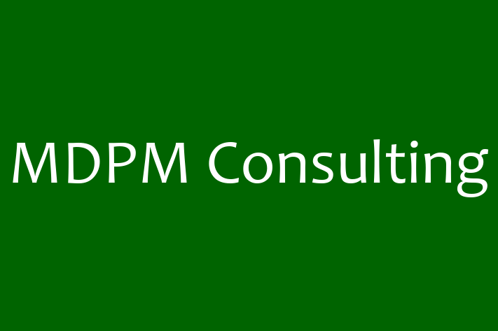 Software Consultancy MDPM Consulting