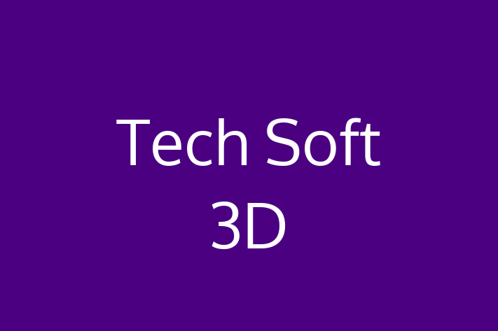 Tech Solutions Company Tech Soft 3D