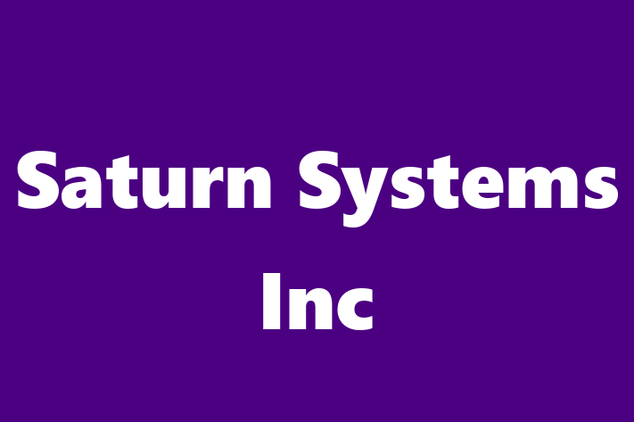 Software Services Company Saturn Systems Inc