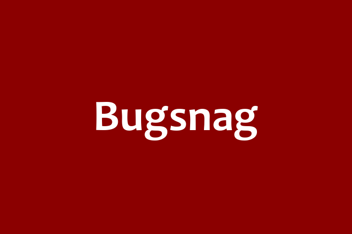 Application Development Company Bugsnag