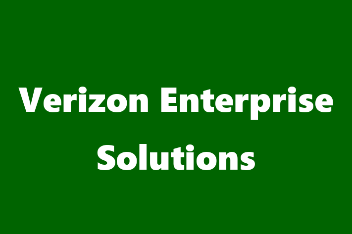 Software Engineering Company Verizon Enterprise Solutions