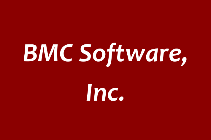 Software Services Company BMC Software Inc.