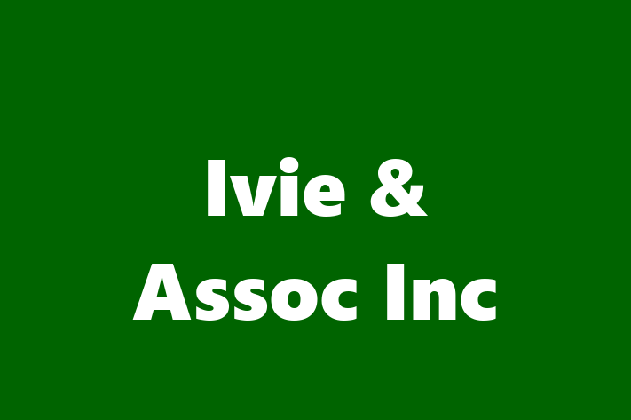 Technology Company Ivie  Assoc Inc