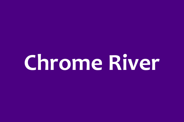 Application Development Company Chrome River