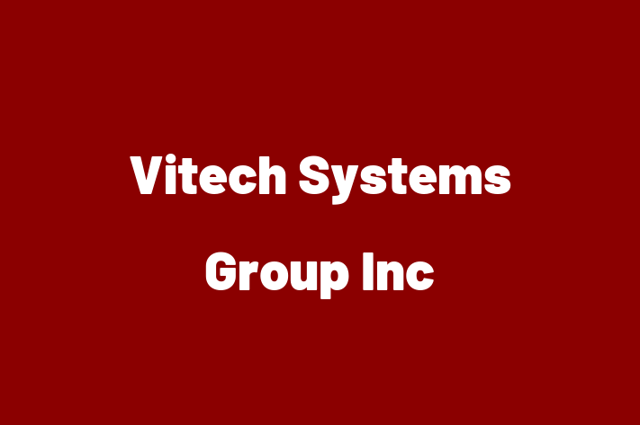 Technology Company Vitech Systems Group Inc