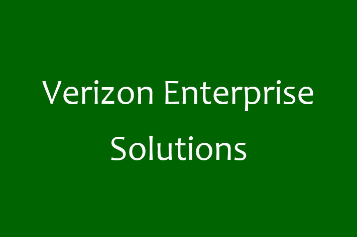 Software Consultancy Verizon Enterprise Solutions