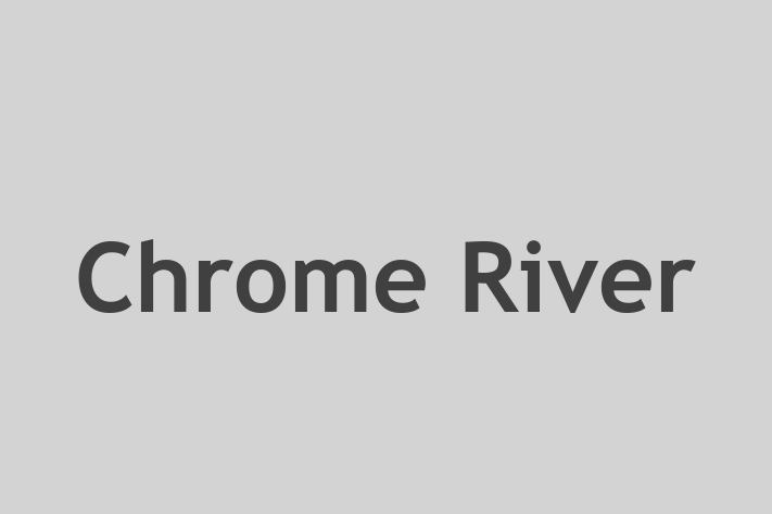 Software Engineering Company Chrome River