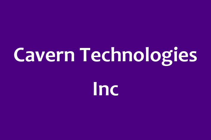 Technology Solutions Firm Cavern Technologies Inc