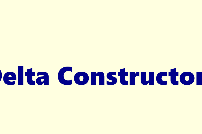 Human Capital Management Delta Constructors