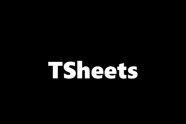 IT Company TSheets