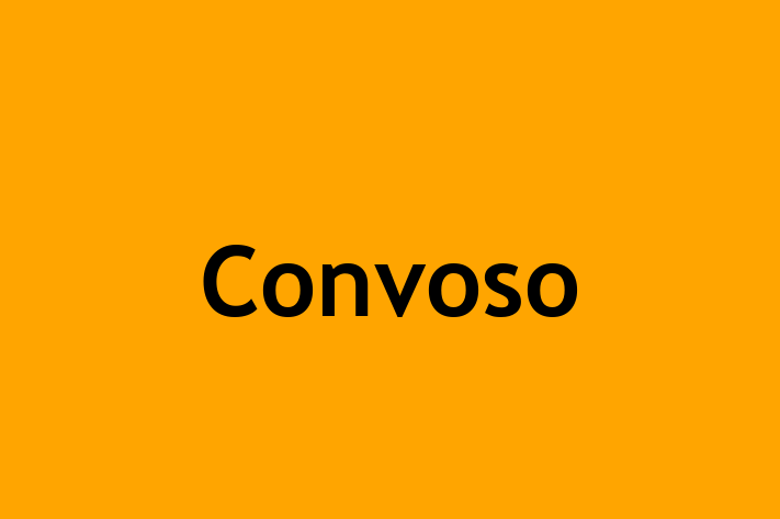 Digital Solutions Provider Convoso