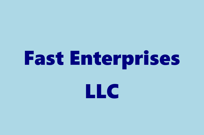 Software Consultancy Fast Enterprises LLC