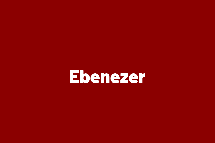 Employee Resource Management Ebenezer