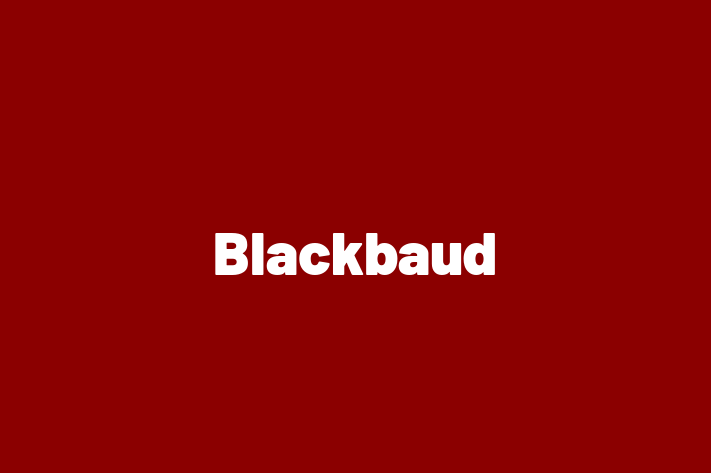 Tech Solutions Company Blackbaud