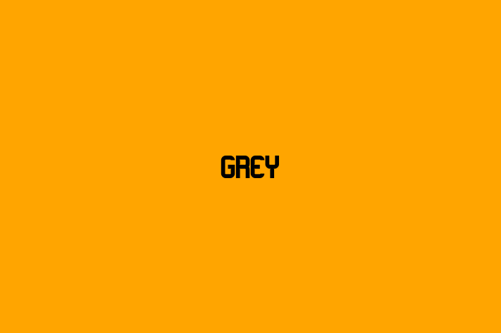 Software Firm Grey