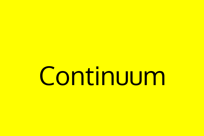 Software Solutions Provider Continuum