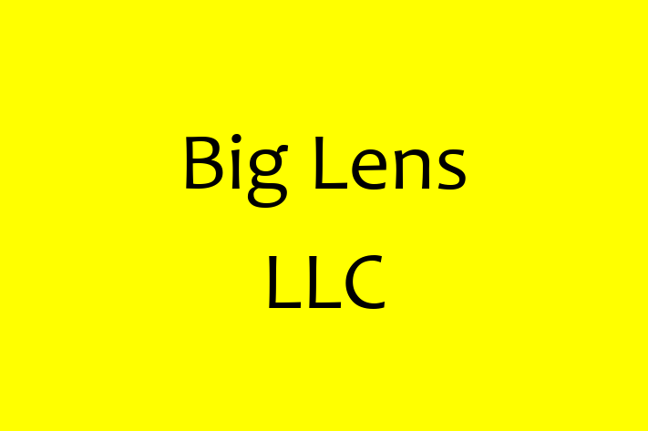 Software Development Firm Big Lens LLC