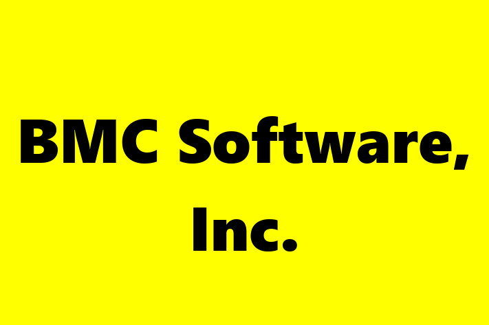 Technology Solutions Firm BMC Software Inc.