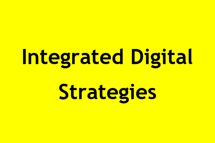 Software Solutions Provider Integrated Digital Strategies