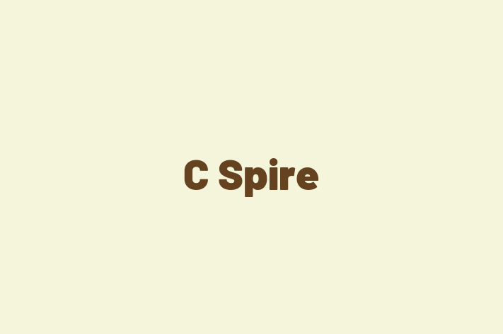 Software Consultancy C Spire