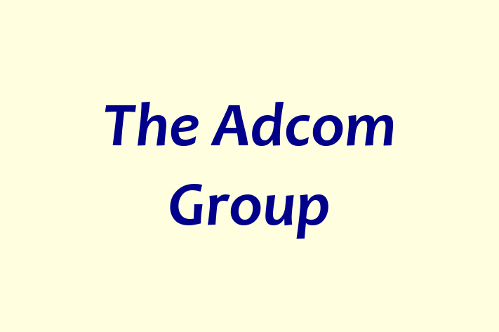 Technology Solutions Firm The Adcom Group