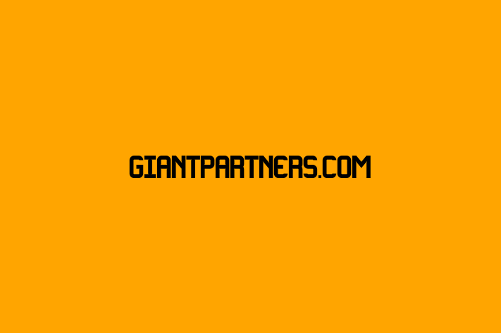 Software Solutions Provider giantpartners.com