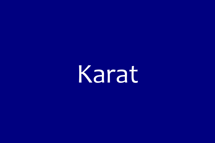 Application Development Company Karat