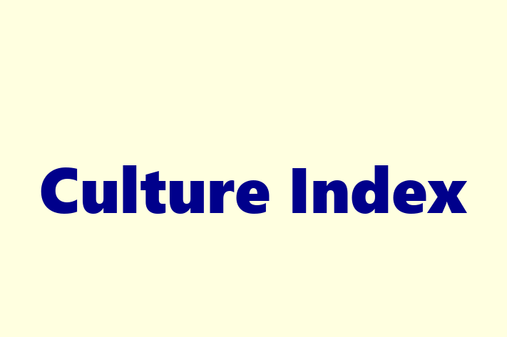 Software Firm Culture Index