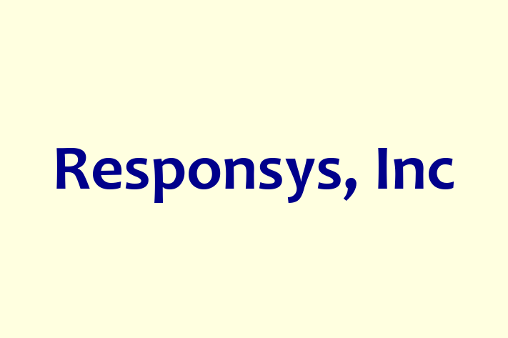 Software Services Company Responsys Inc