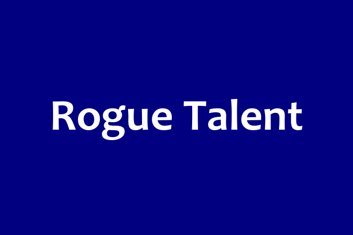 HR Administration Rogue Talent