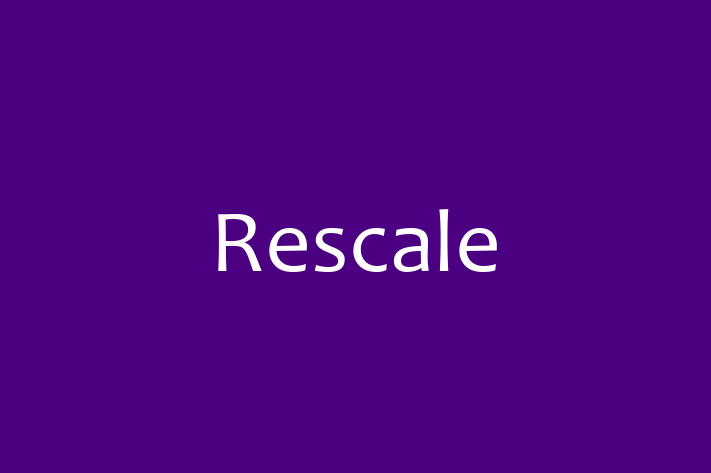 Software Development Firm Rescale